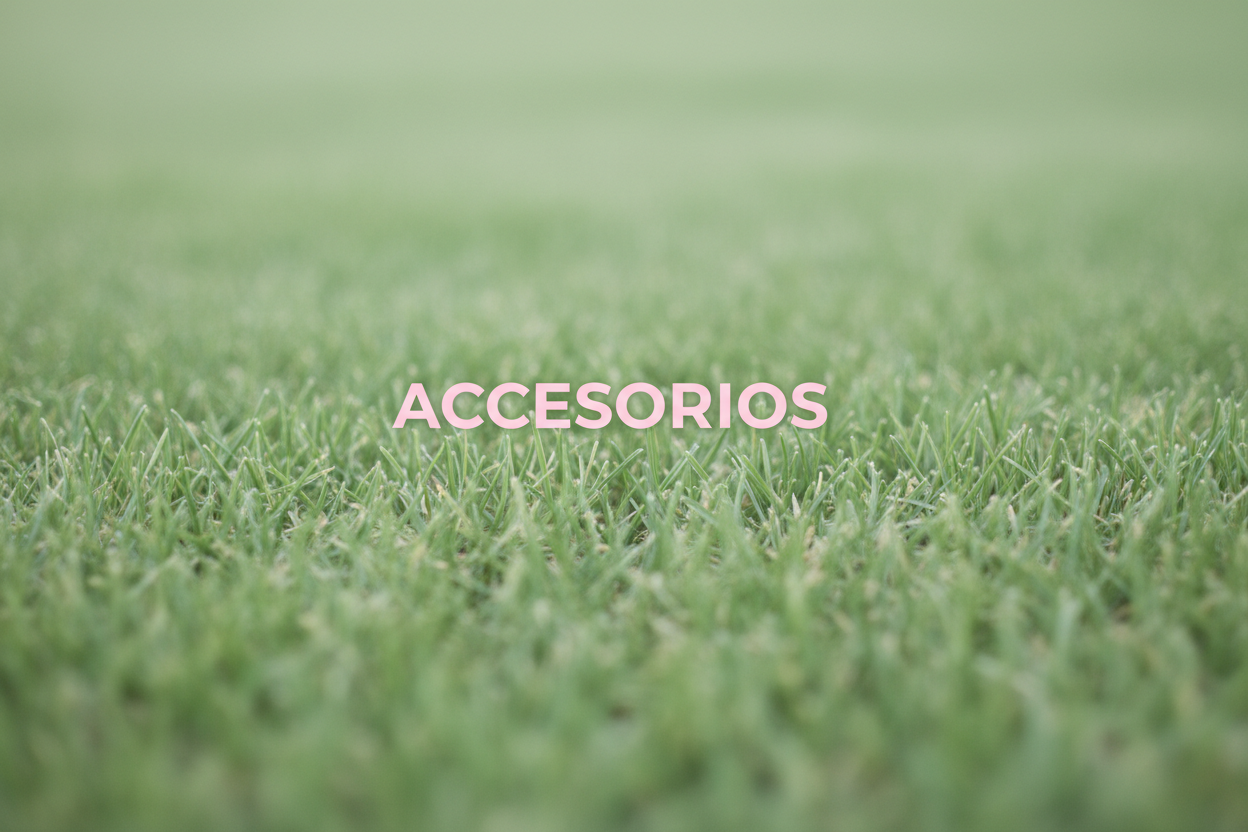 ACCESORIOS