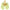 Zapatillas Antideslizantes Slipstop Neon Palms